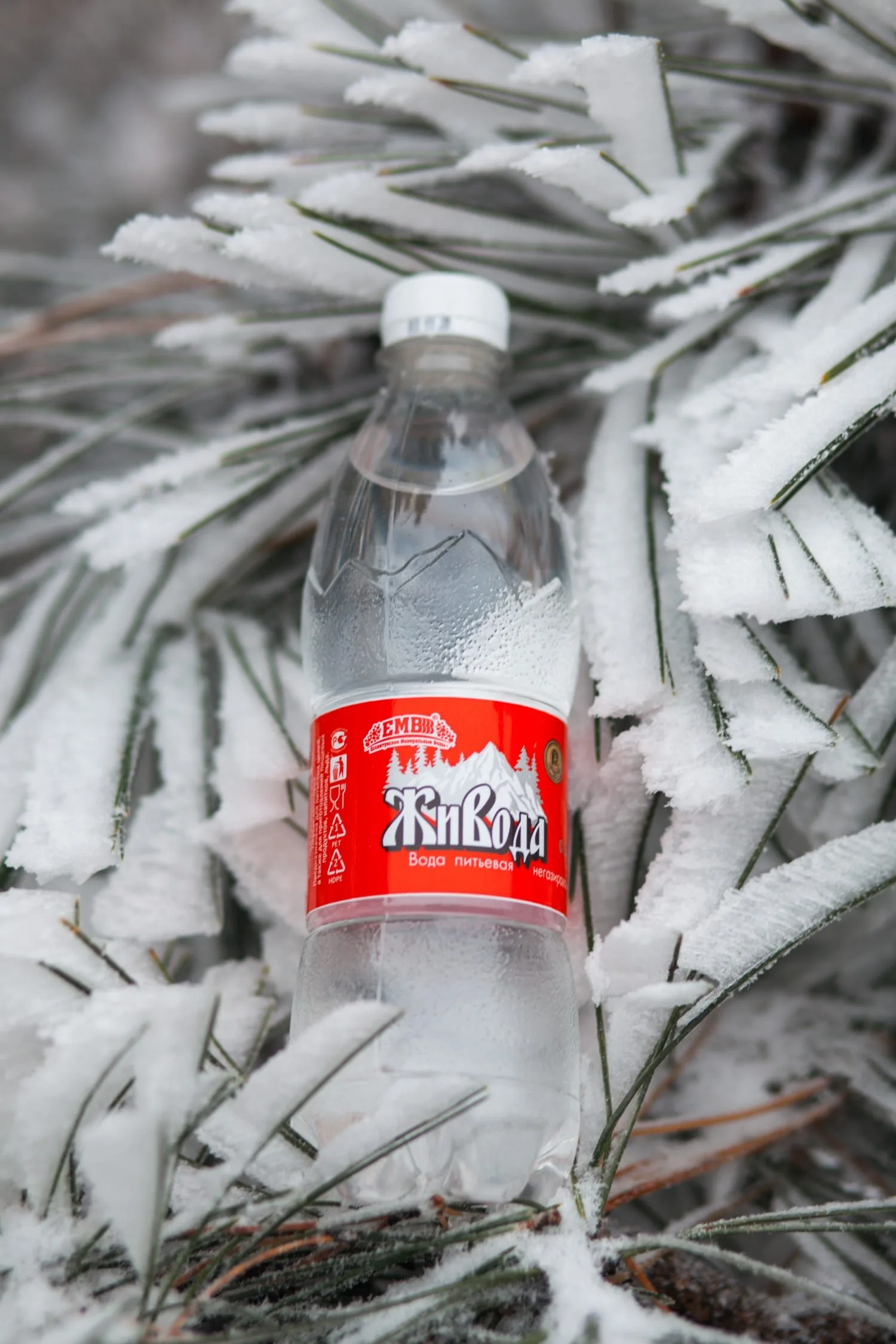 «ЖиВода» вода питьевая негазированная - фото 2